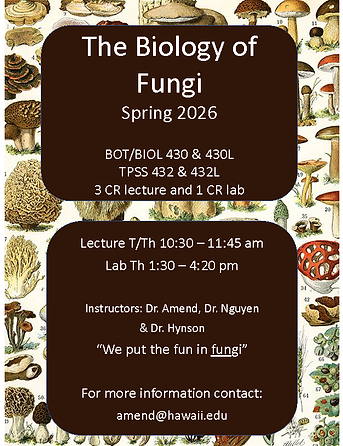 Flyer for 'The Biology of Fungi' course