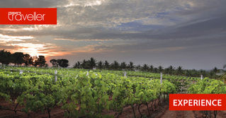 Grover Zampa Vineyards unveils its new exquisite visitor centre at their winery in Bangalore