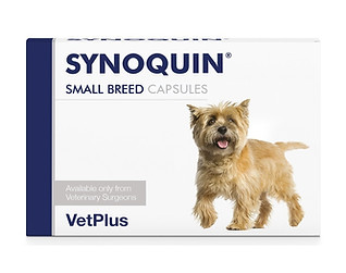 Synoquin dog SBC front.jpg