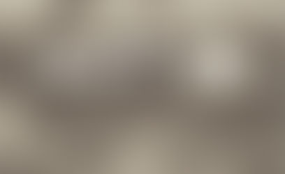 Fathers Day Bush High Tea 2022