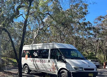 Guest Transport
