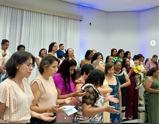 pib pirapora - sociedade feminina