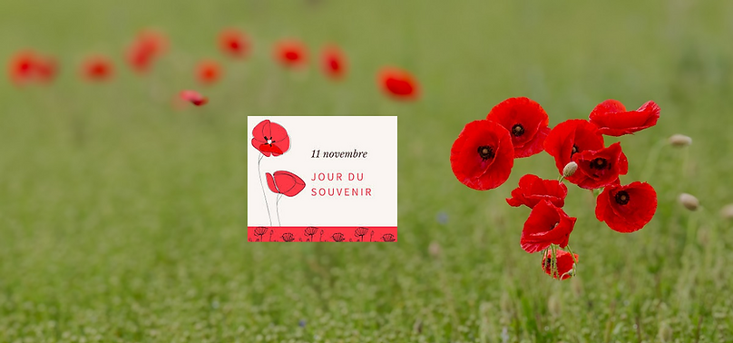 11nov.png