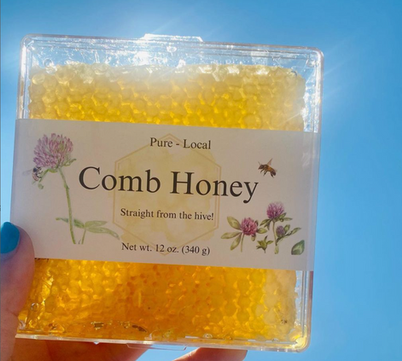 Screen Shot 2023-02-27 at 2.23.56 PM.png