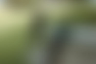 Men Can Be Victims Of Domestic Violence And Coercive Control As Well: