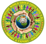 logo.png