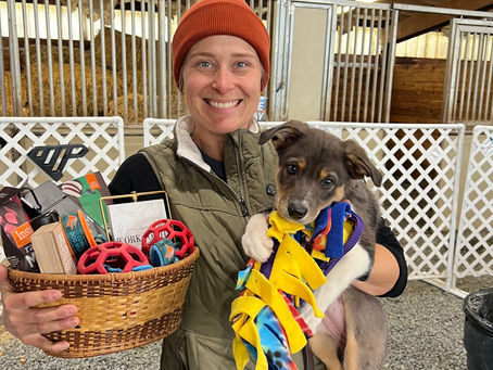 November 8 - 10, AKC ISC No Turning Back Cup Premium