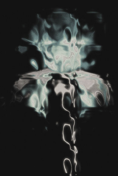 Abstract flower digital artwork