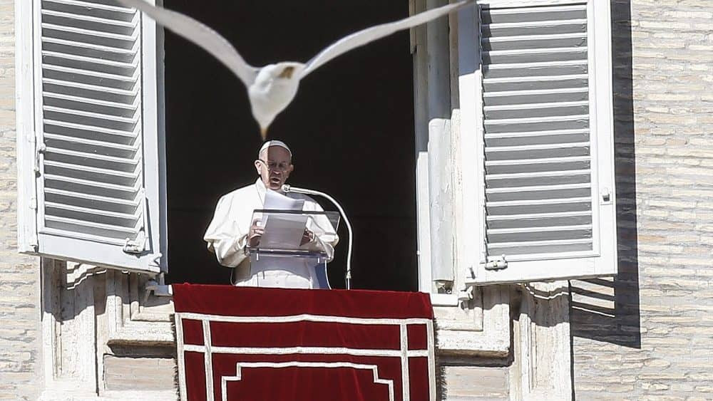 Papa Francisco no Angelus deste domingo (Foto: Vaticannews)