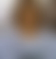 Astutilio Malgioglio