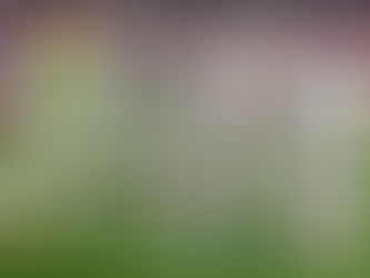 Super heroes Provedel and Gila help Lazio survive