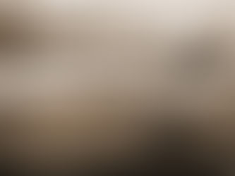 February 18, 1940: Lazio Milano 2-2