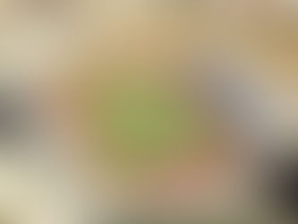 November 3, 2002: Empoli - Lazio 1-2