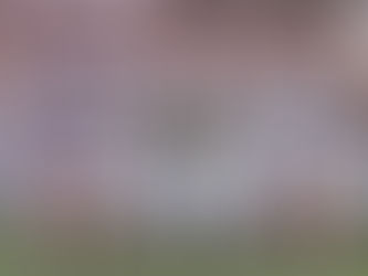 Manager Series: Giuseppe Materazzi