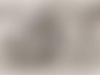 April 26, 1981: Lazio Genoa 2-2