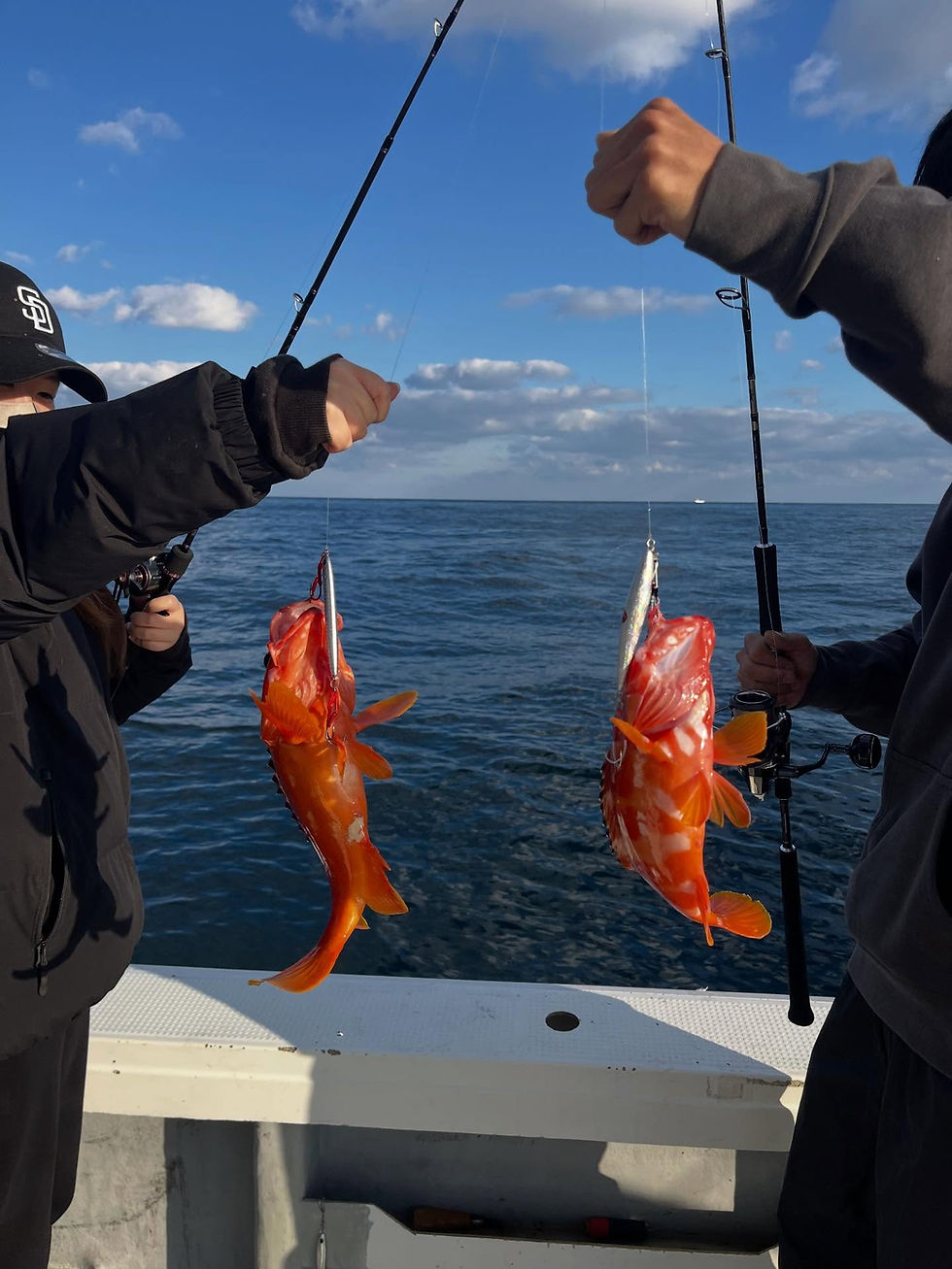 2025年12月1日#根魚便