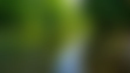 River Fishing: Finding Summer Largemouth Bass