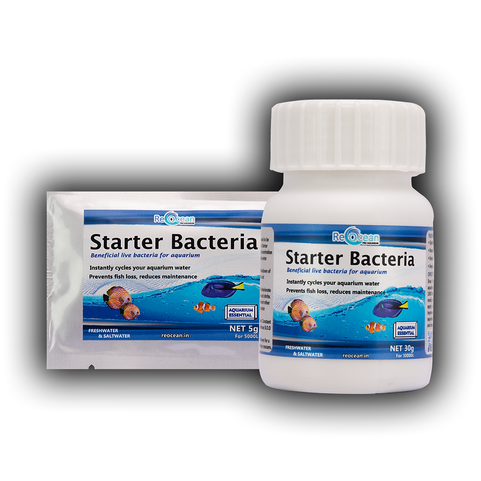 Thumbnail: Starter Bacteria
