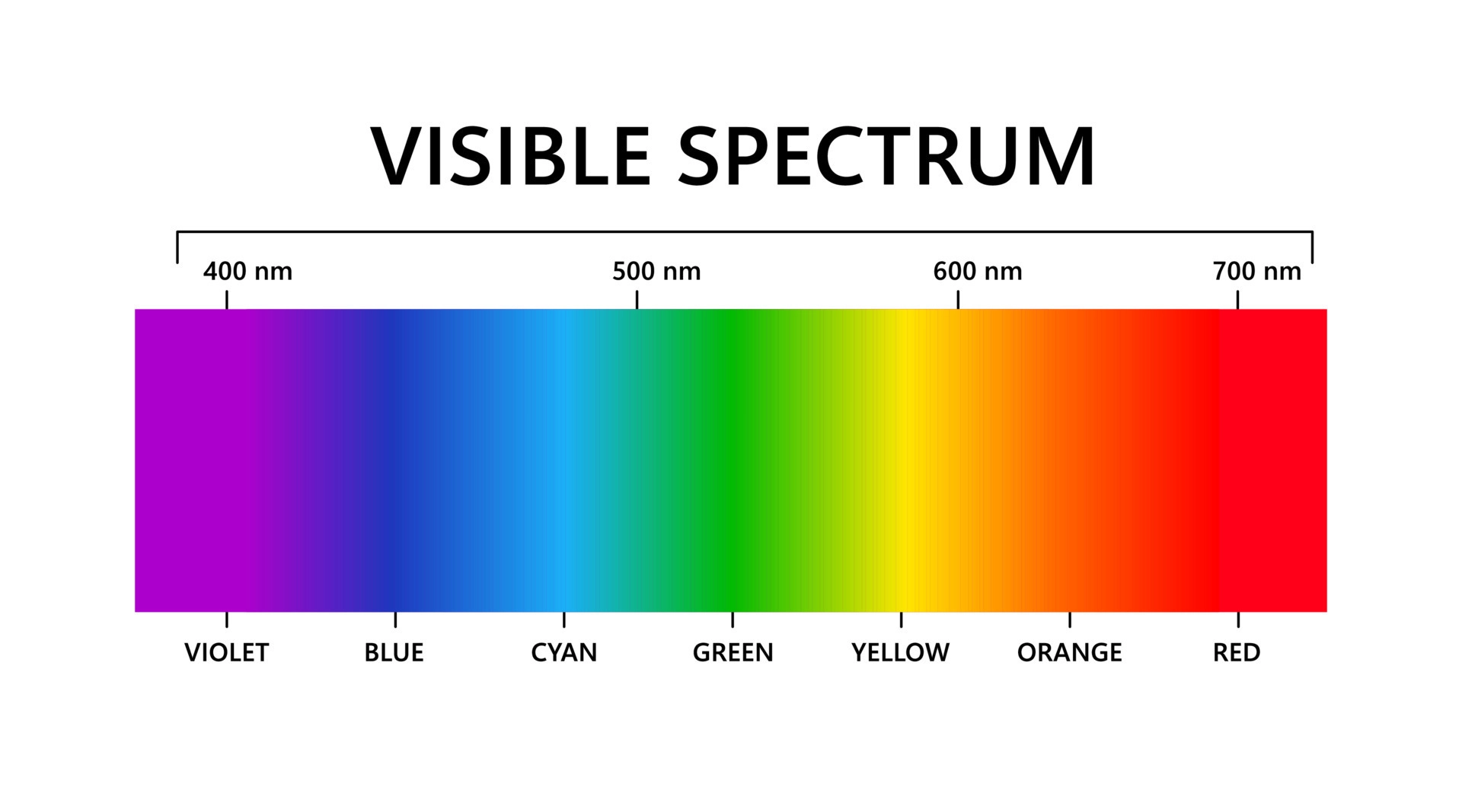 visible spectrum, what is the spectrum?,spectrum newton, light theory, color theory, color waves, what colors do we see?