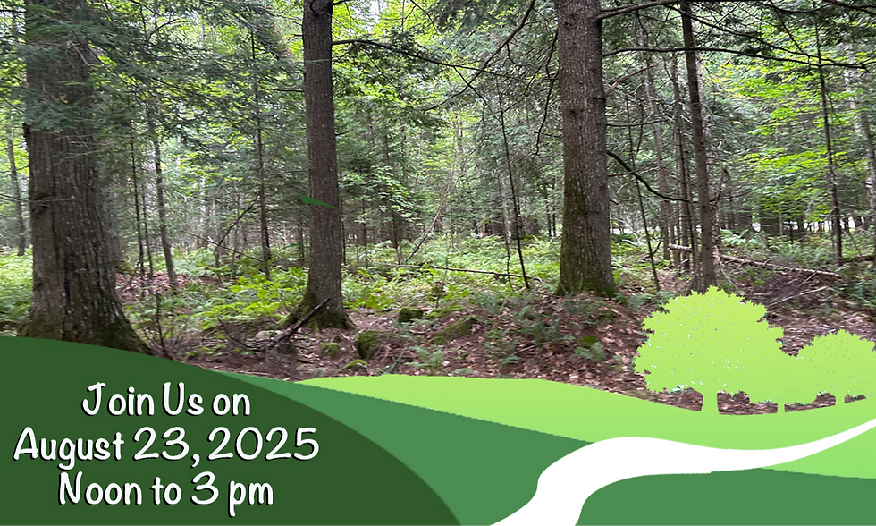 Celebration of the Clark Road Wildlife Preserve