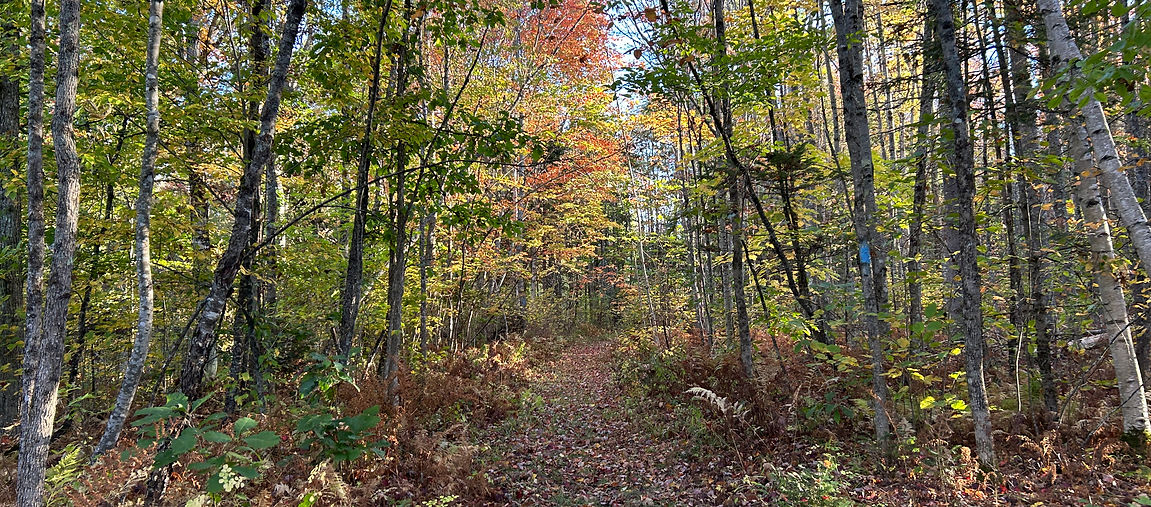 IMG_1286.JPG