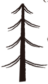 camping-5380268 (1).png