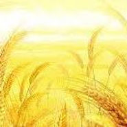 images-150x132-square.jpeg