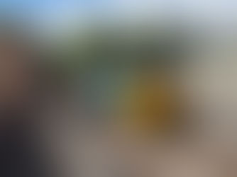 Defiance To The Rescue