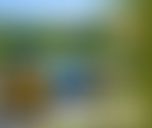 2026 Season Commences on The Severn Valley Railway