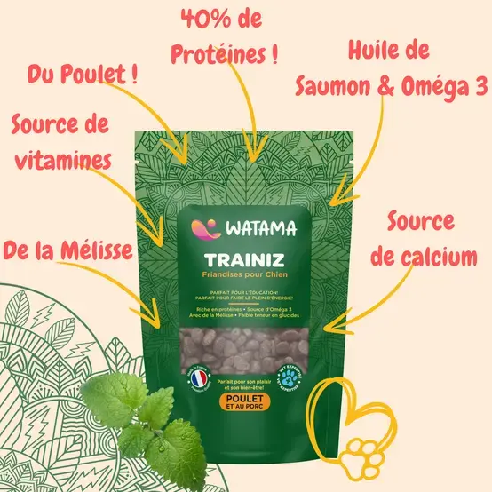 Thumbnail: Watama Trainiz 250g