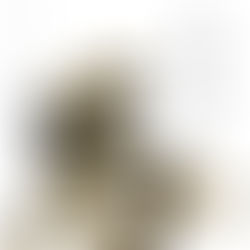 謹んで新春のお慶びを申し上げます。