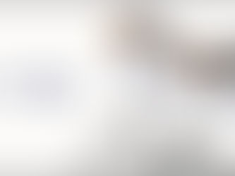 RES/REI GAZETTE / The Spring Issue(RES/REIニュースレター翻訳版)