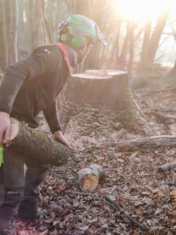 Arborista uklízí kus kmene po kácení stromu