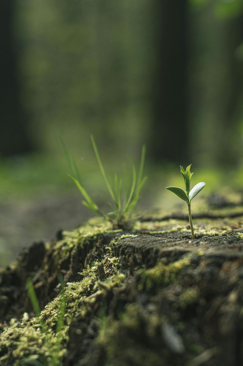 Back to School Anxiety: Supporting Kids and Teens Through the Transition