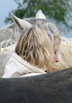 Teil der Herde werden - © HALE-Vision