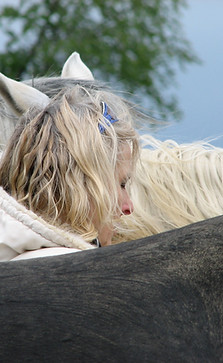 Teil der Herde werden - © Susanne E. Schwaiger