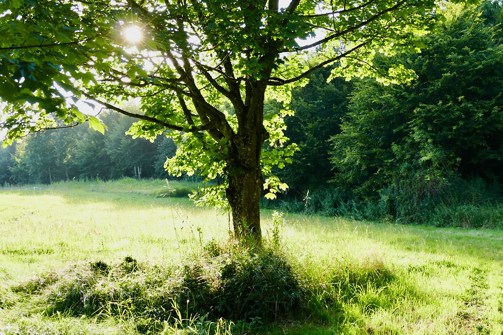 Stimmungsvolle Momente