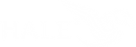 Logo HALE-Vision