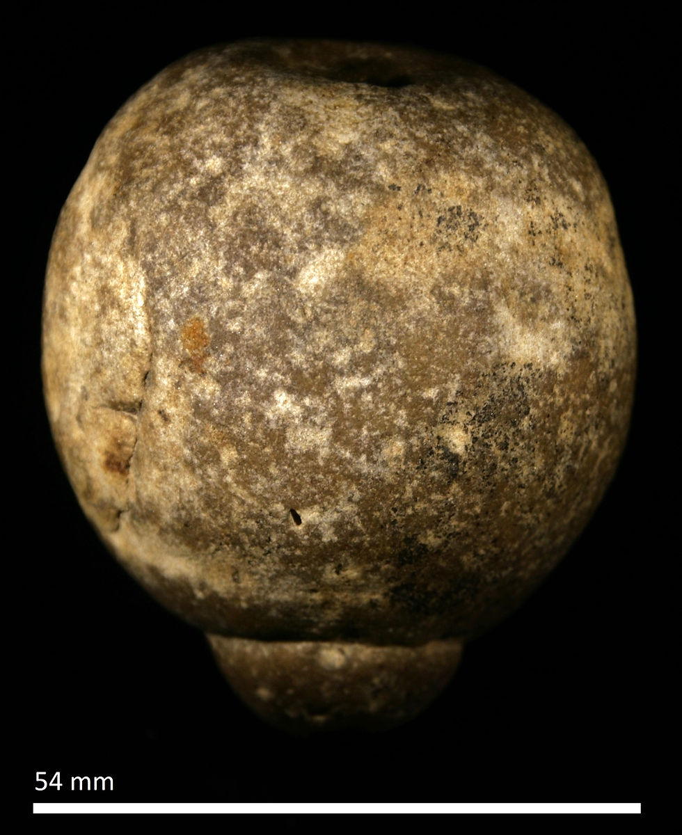 8. Konkrecja