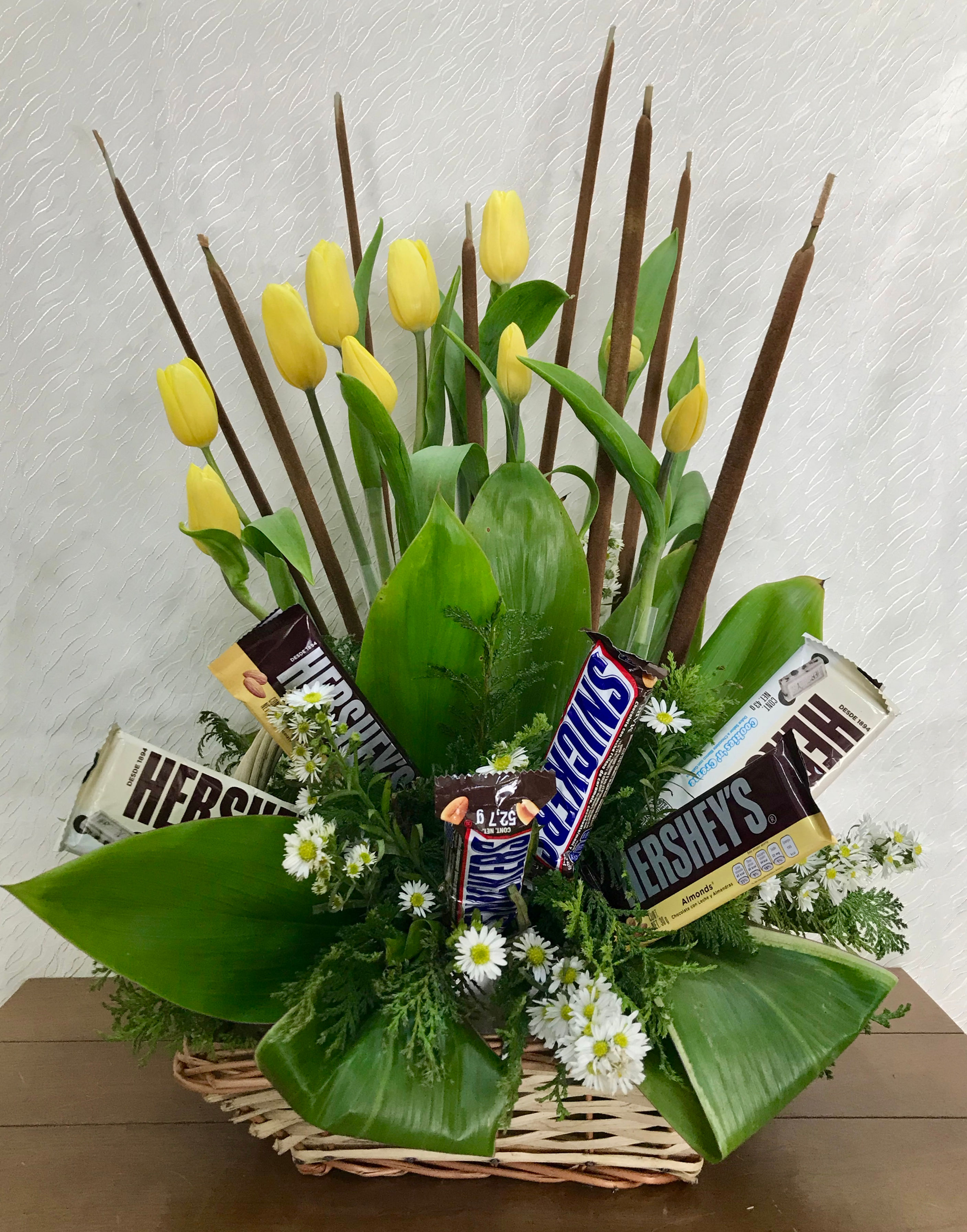 10 TULIPANES + CHOCOLATES