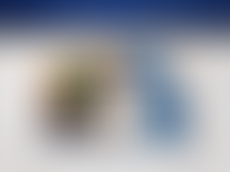 Cidadania Americana Aprovada