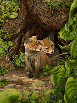 Fox kits