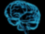 Research findings for brain health.