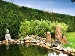 Bassin esprit zen