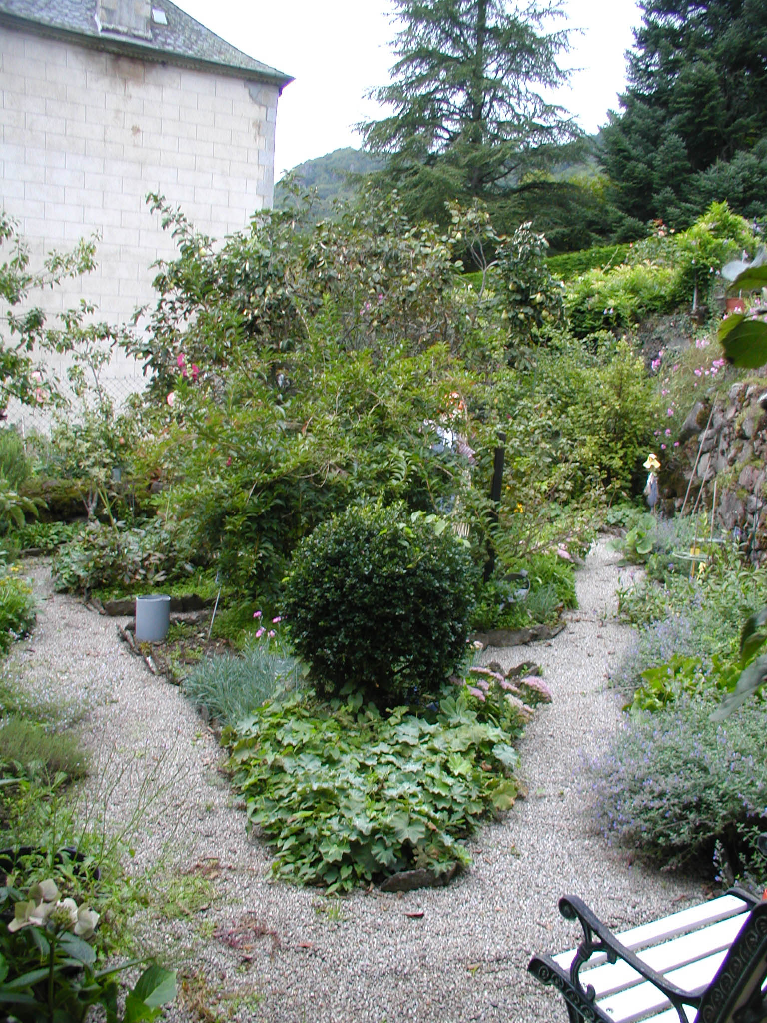 Création paysagère