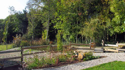 Création de jardin