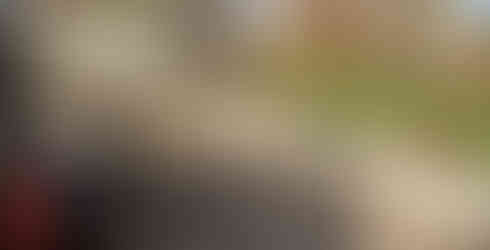 Construction d'un mur maçonné en pierre de pays