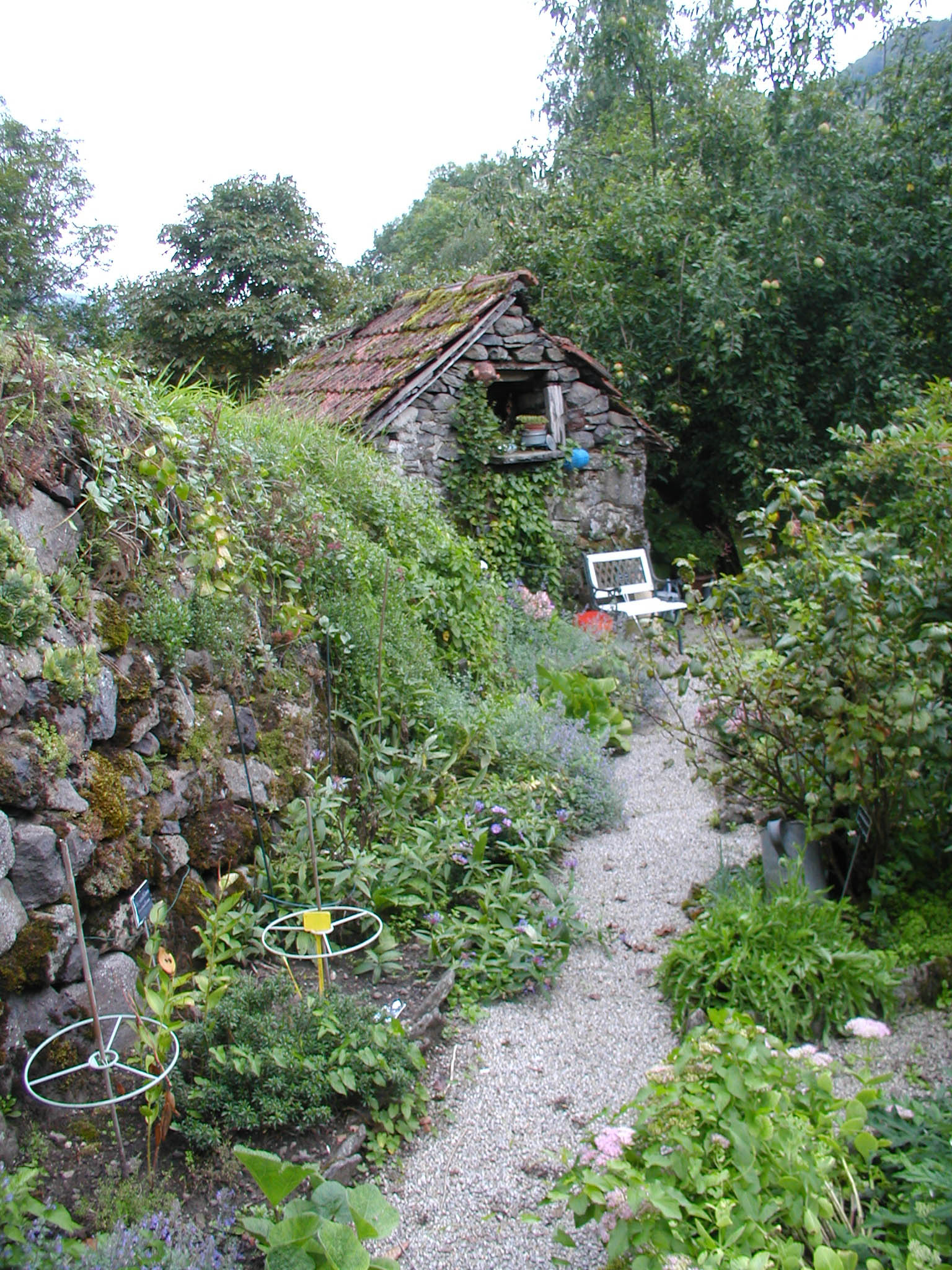 Création paysagère