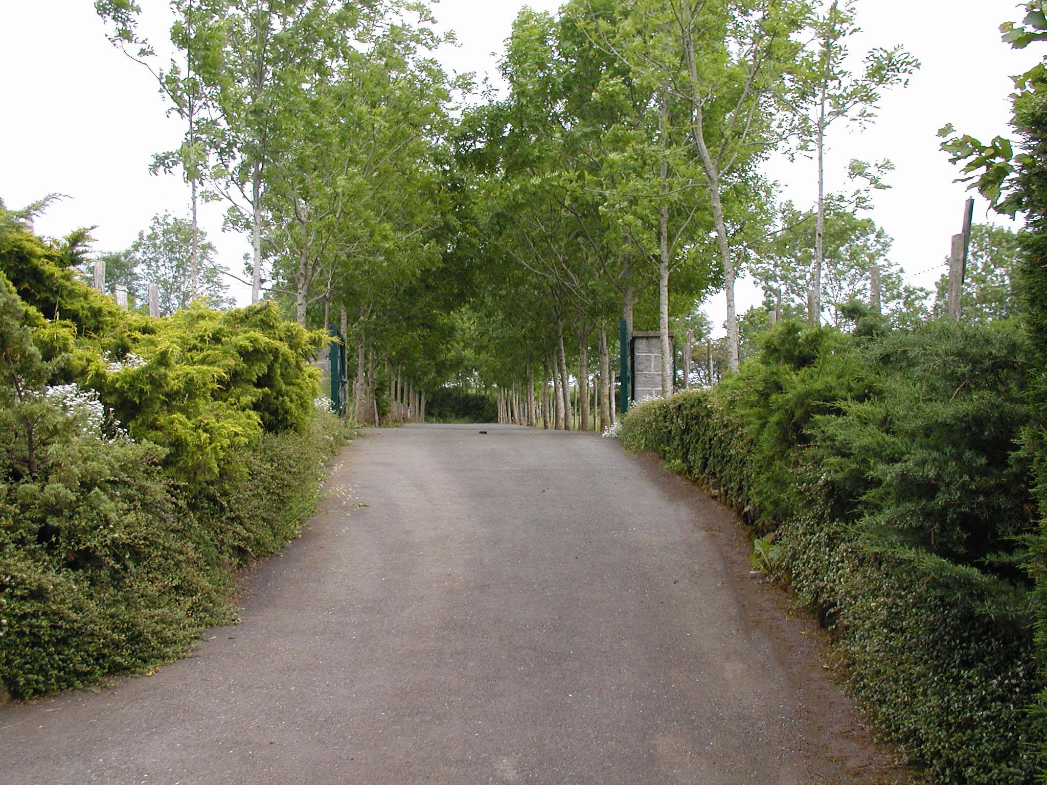 Aménagement de l'entrée