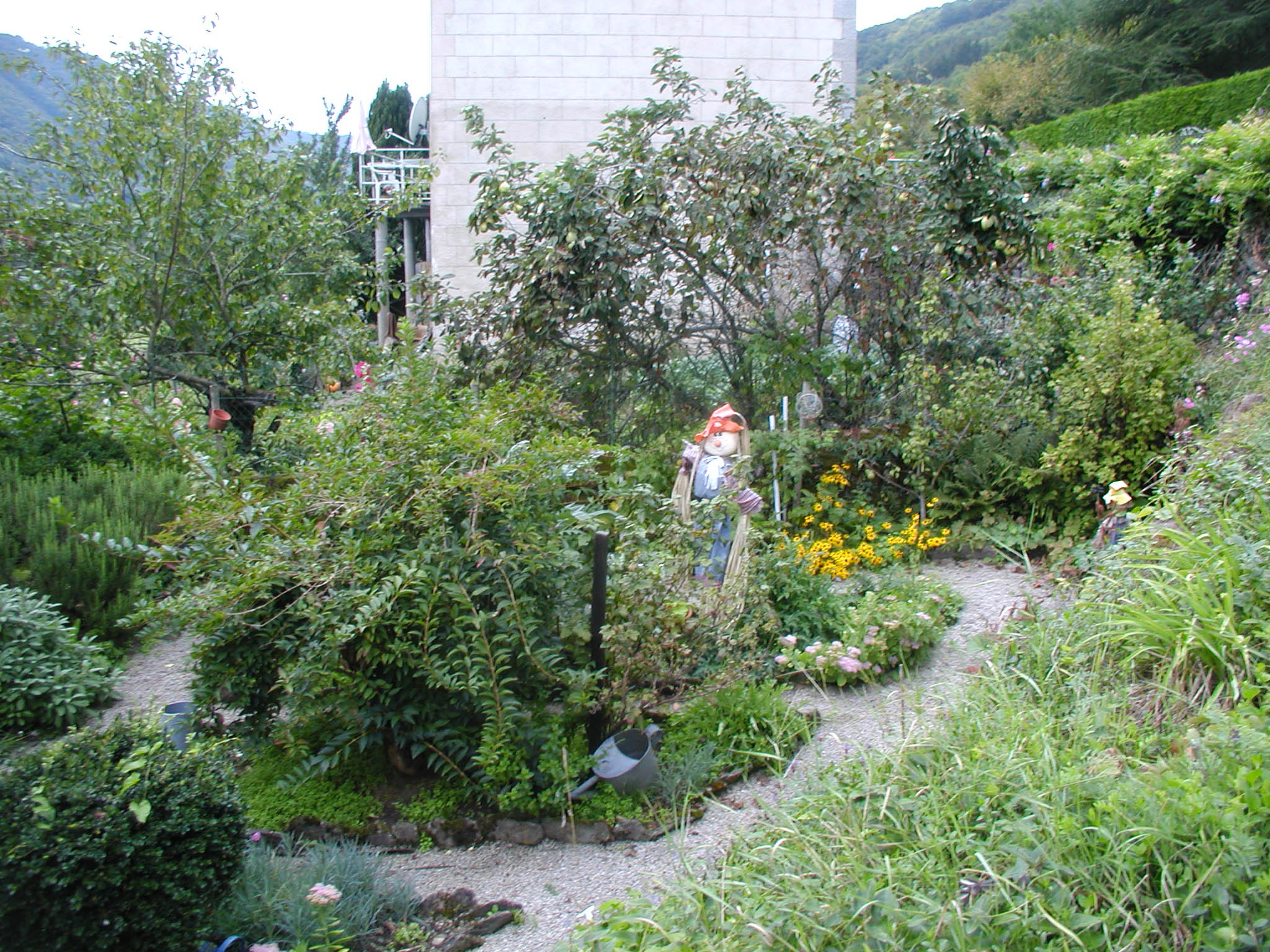 Création paysagère